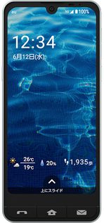 Sharp Basio active 2 5G TD-LTE JP 64GB SHG12